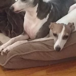 Meet your Posher, Diane